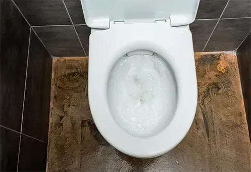 Desentupimento de Vaso Sanitário na Vila Nova Conceição